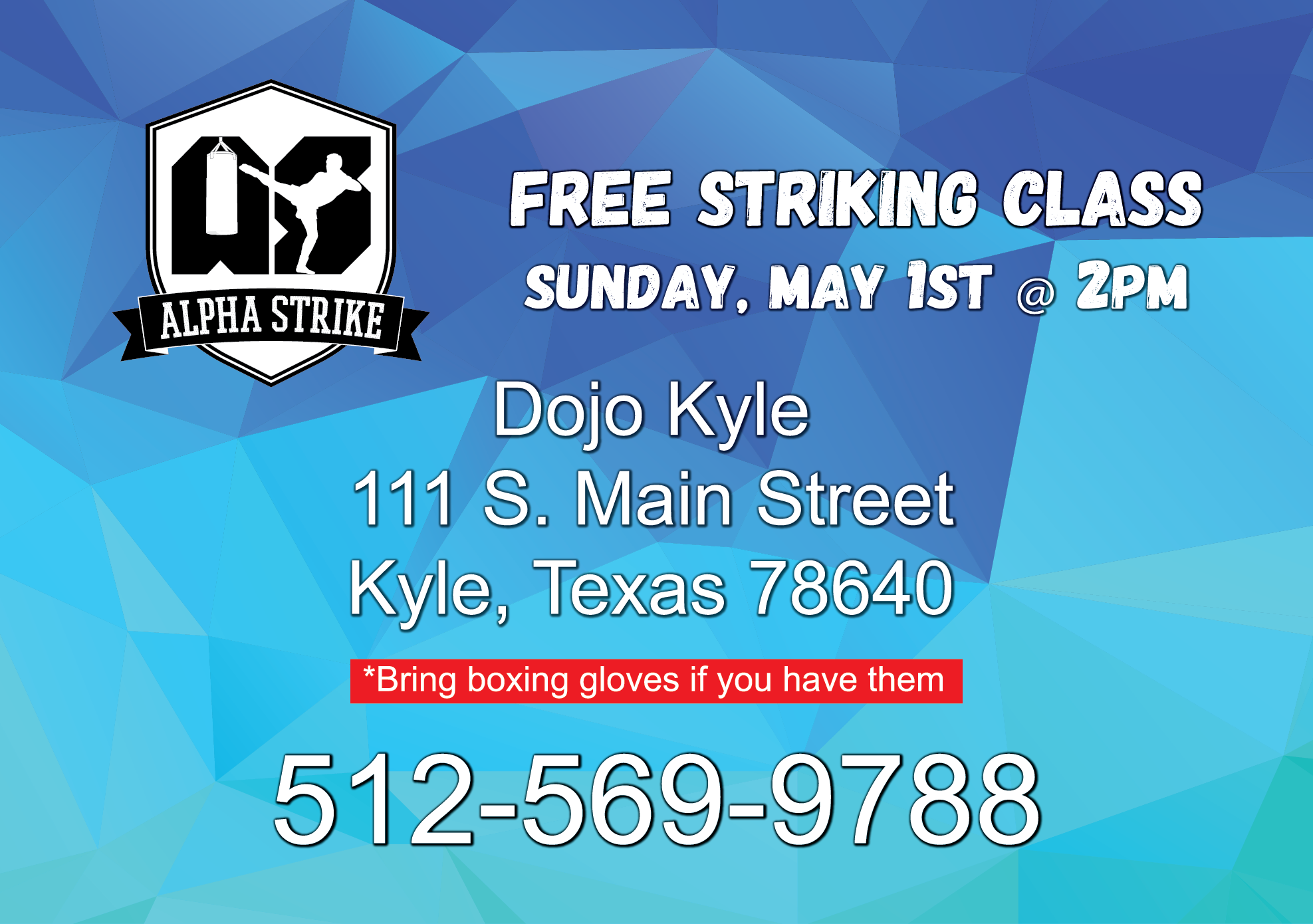New Boxing/Striking Academy Starting Classes in Kyle